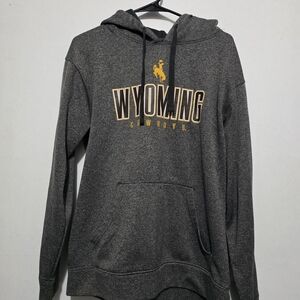 Champion Gray Hoodie with Wyoming Cowboys